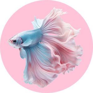 category-fish