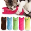 Catnip Chew Toy