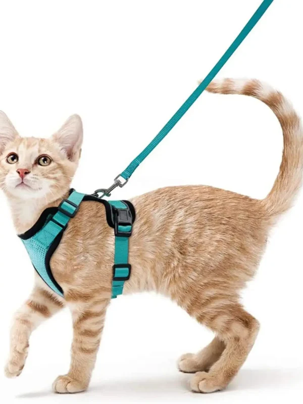 Cat Walking Harness - Image 16