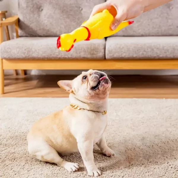 Screaming Chicken Toy - Image 4