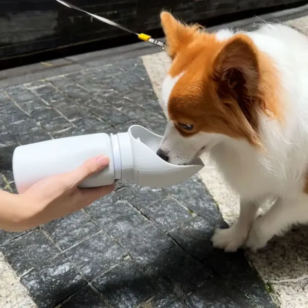 Folding Water Bottle - Image 3