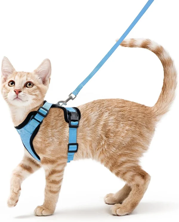 Cat Walking Harness - Image 12