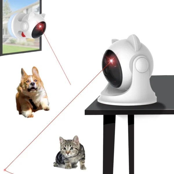 Laser Chase Toy