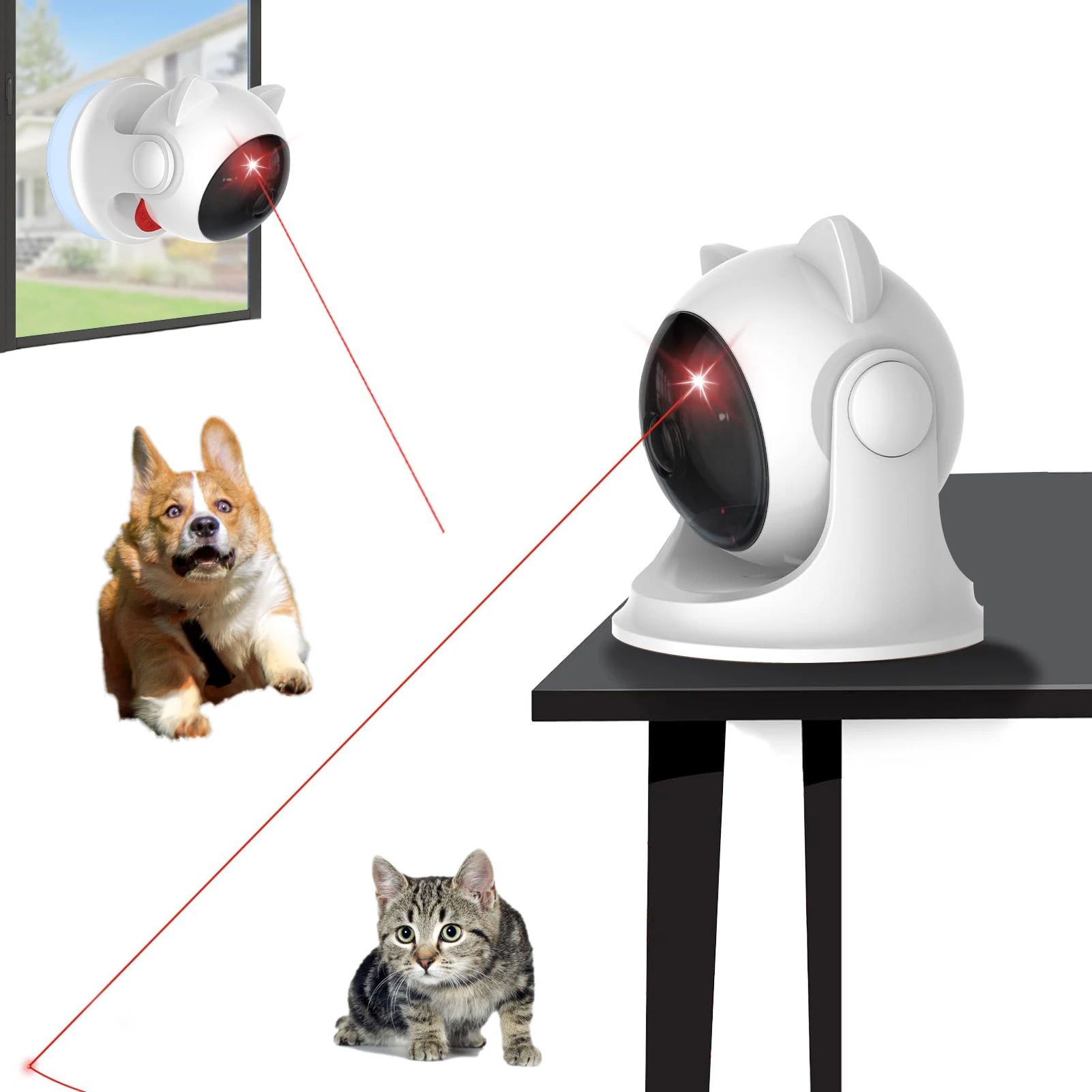 Laser Chase Toy