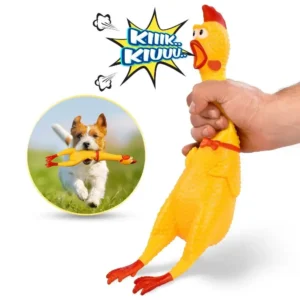 Screaming Chicken Toy