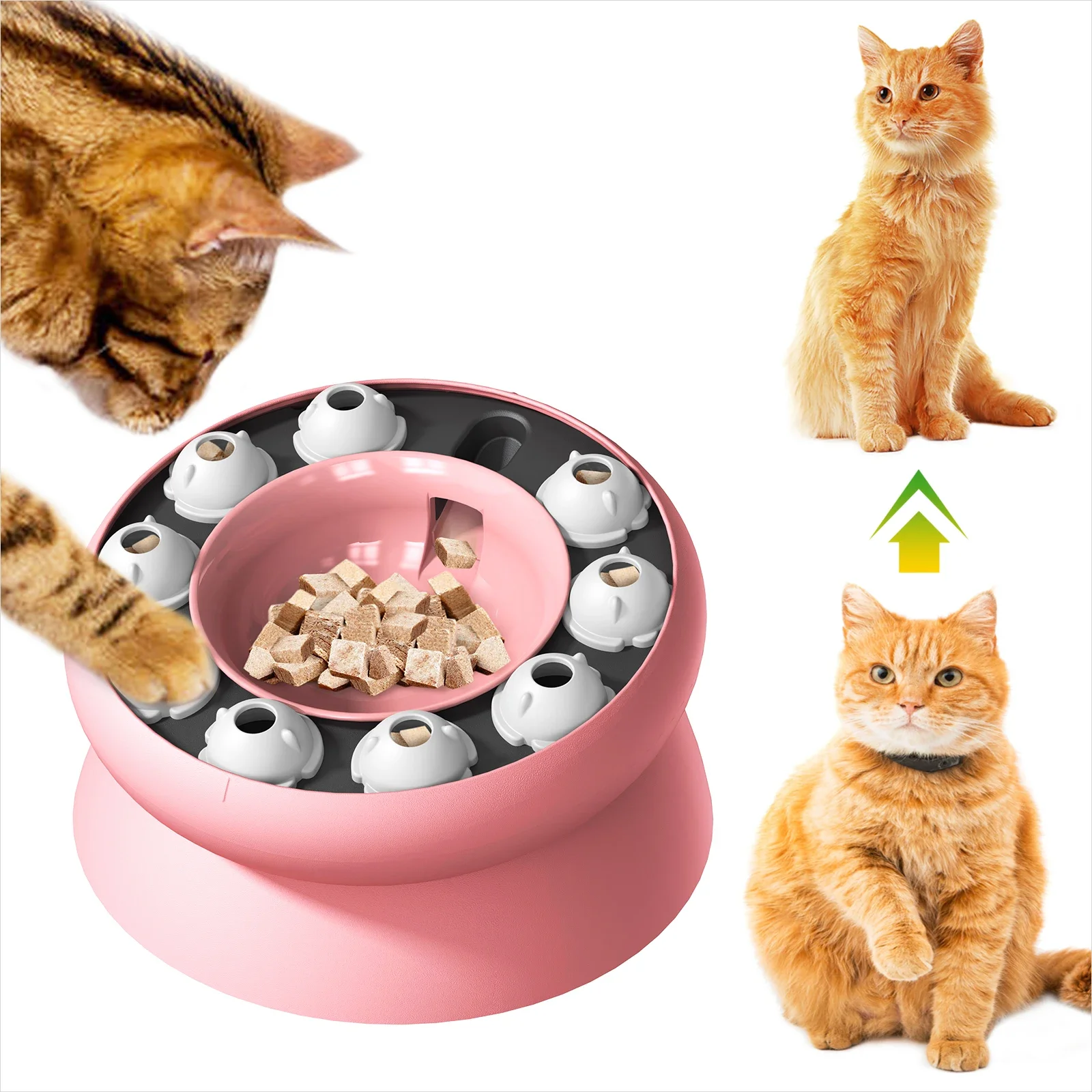 Puzzle Feeder