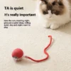 Smart Rolling Ball - Image 4