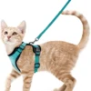 Cat Walking Harness