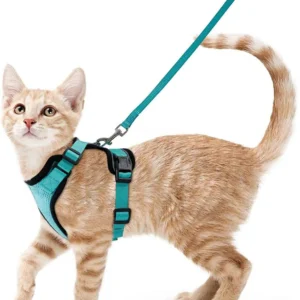 Cat Walking Harness