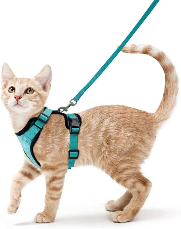 Cat Walking Harness