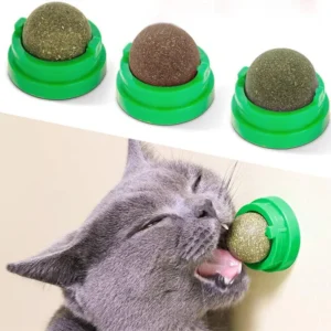 Catnip Wall Treats