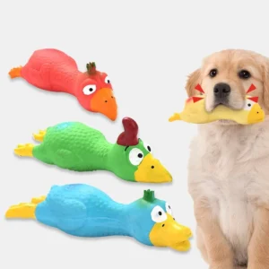 Chicken Shaped Toy