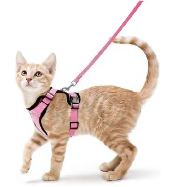 Cat Walking Harness - Image 14