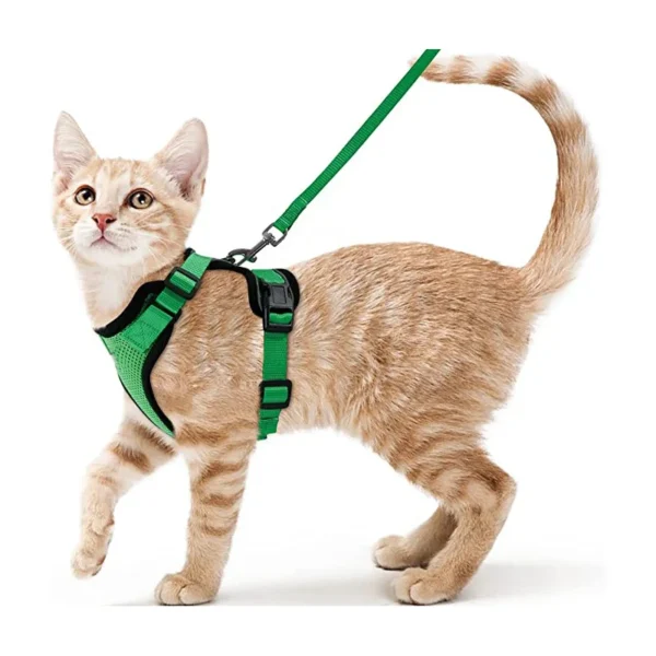 Cat Walking Harness - Image 15