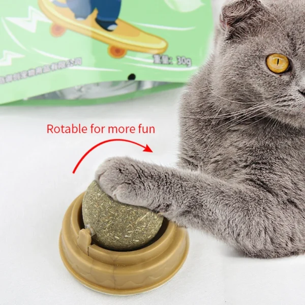 Catnip Wall Treats - Image 4