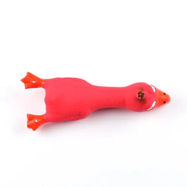 Chicken Shaped Toy - Image 8