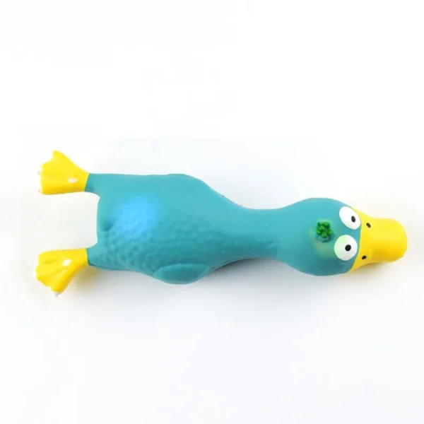 Chicken Shaped Toy - Image 9