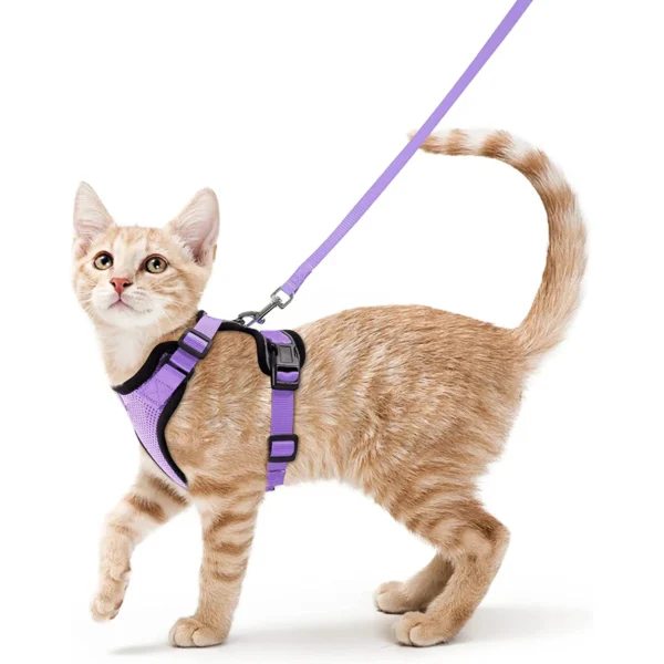 Cat Walking Harness - Image 11