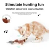 Interactive bird - Image 2