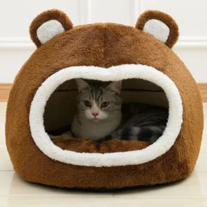 Funny Bed
