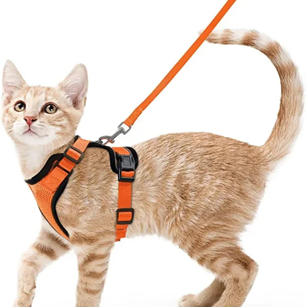Cat Walking Harness - Image 7