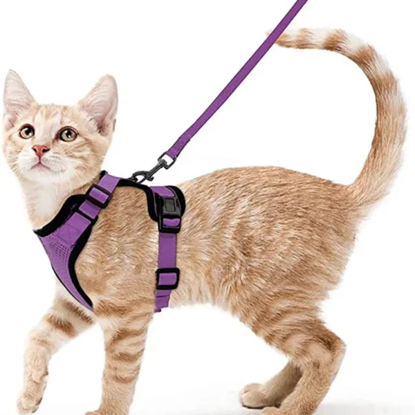 Cat Walking Harness - Image 13