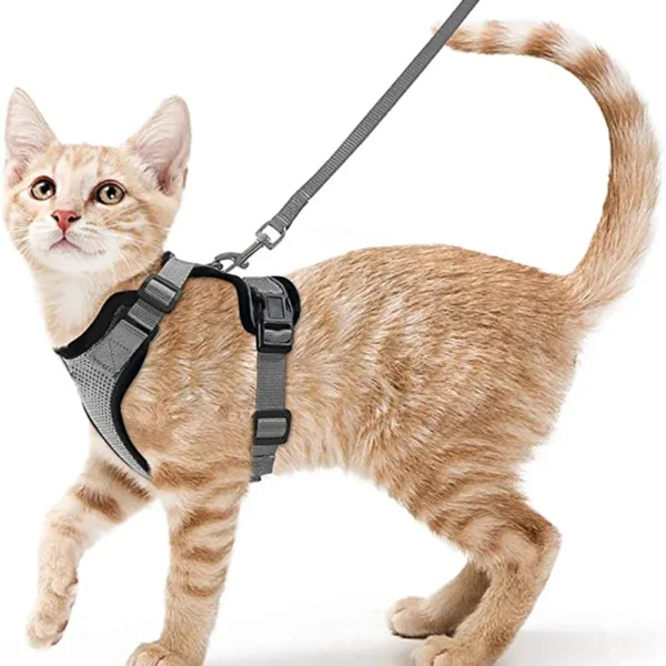Cat Walking Harness - Image 8