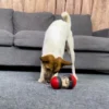 IQ Feeder Ball - Image 6