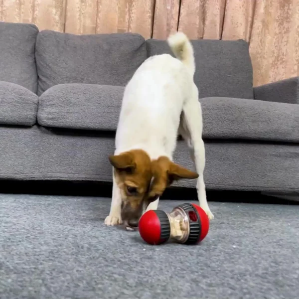 IQ Feeder Ball - Image 6