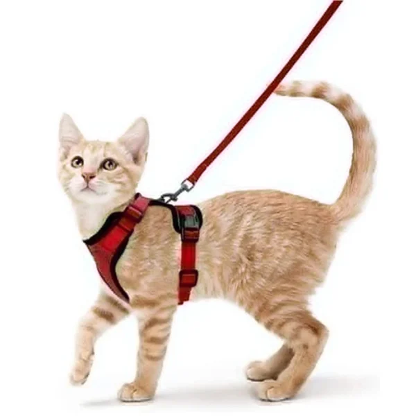 Cat Walking Harness - Image 10