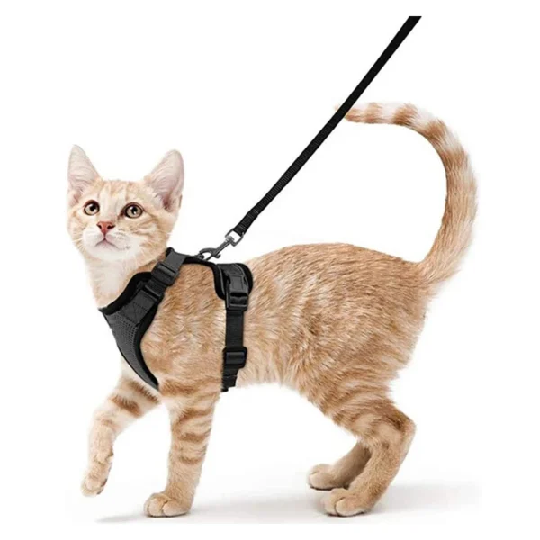 Cat Walking Harness - Image 9