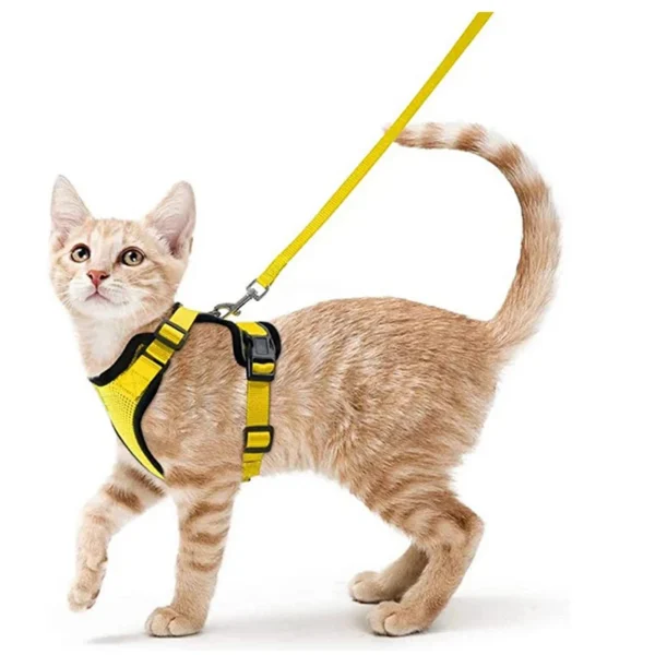 Cat Walking Harness - Image 17