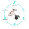 Gravity Feeder Toy - Image 4