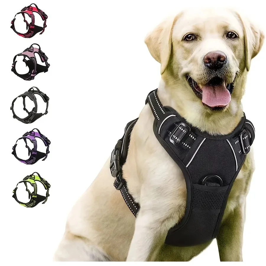Dog Walk Set