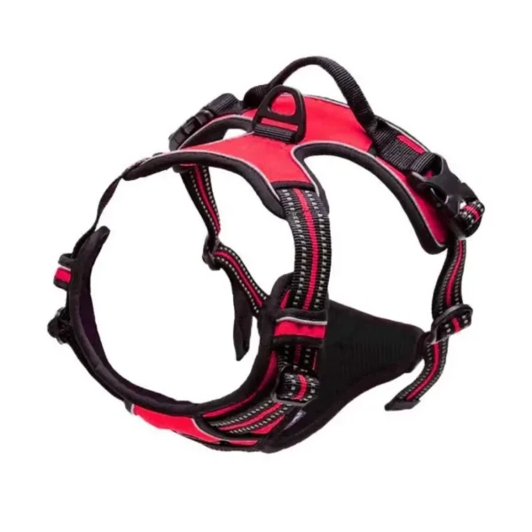 Dog Walk Set - Image 9