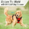 Dog Walk Set - Image 3