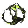 Dog Walk Set - Image 8