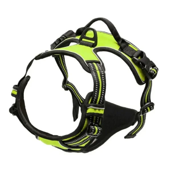 Dog Walk Set - Image 8