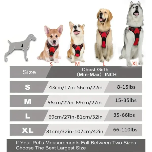 Dog Walk Set - Image 6