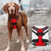 Dog Walk Set - Image 2