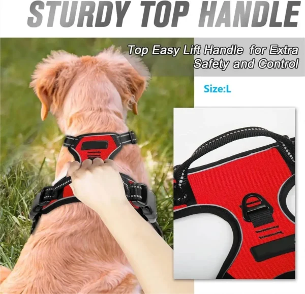 Dog Walk Set - Image 4