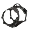 Dog Walk Set - Image 7