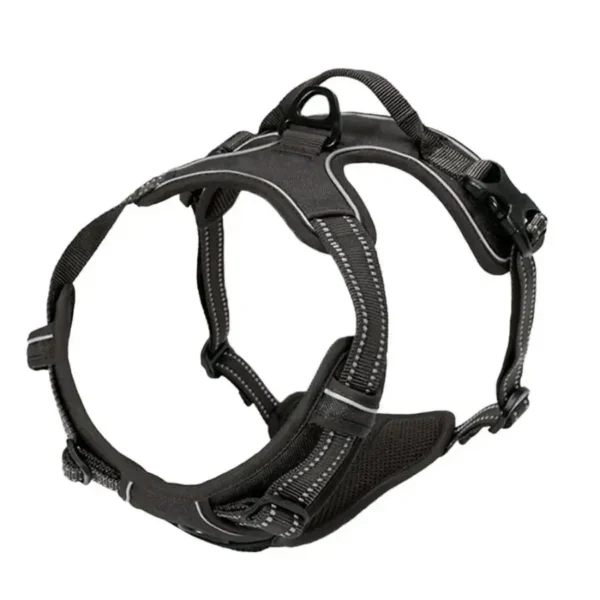 Dog Walk Set - Image 7